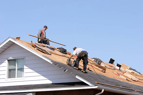 Best Roof Moss and Algae Removal  in Seaford, DE